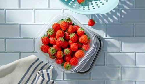 food storage strawberries